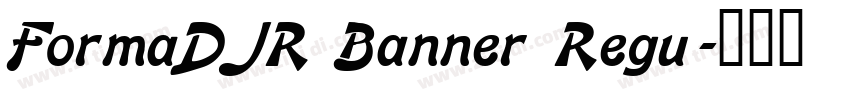 FormaDJR Banner Regu字体转换